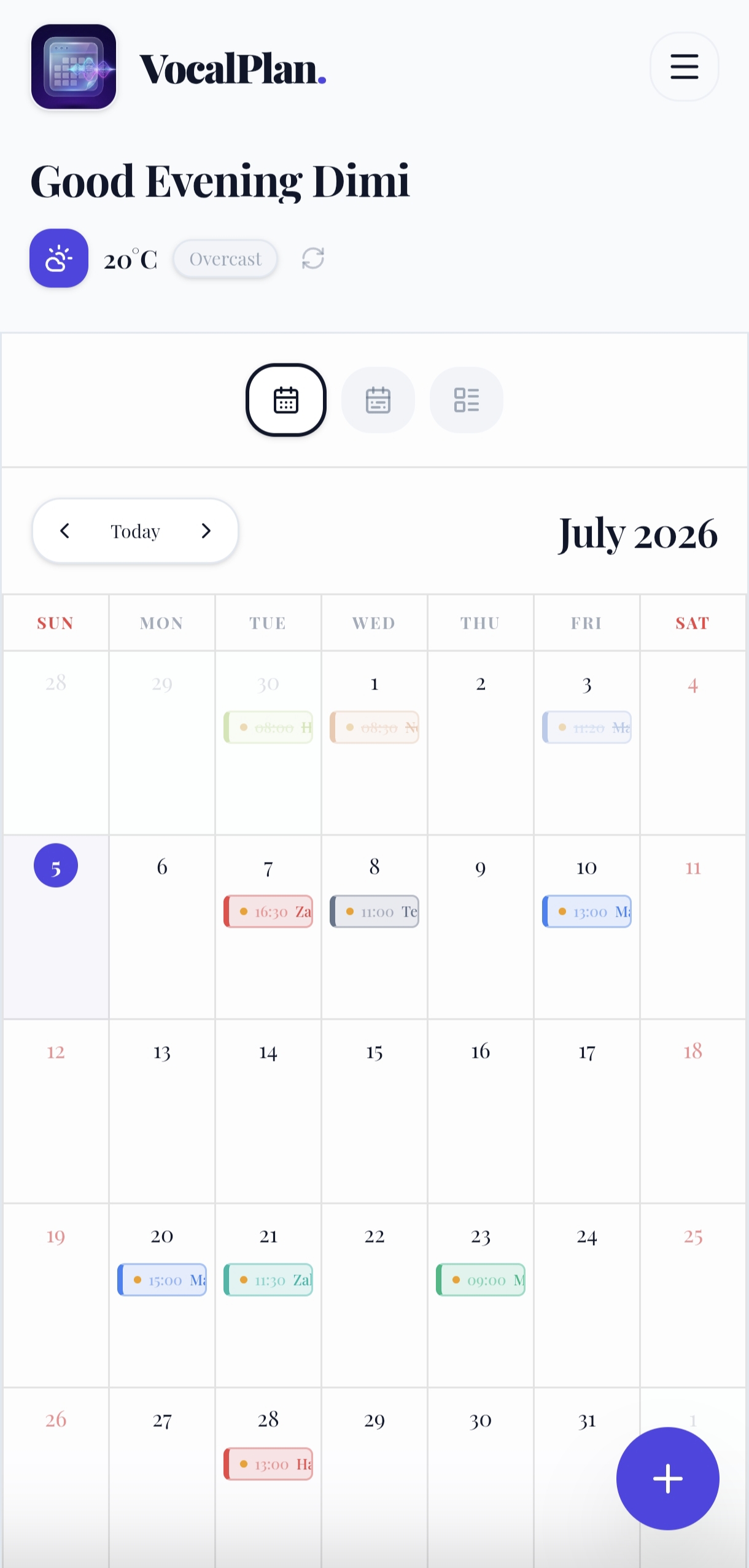 VocaPlan Mobile Interface